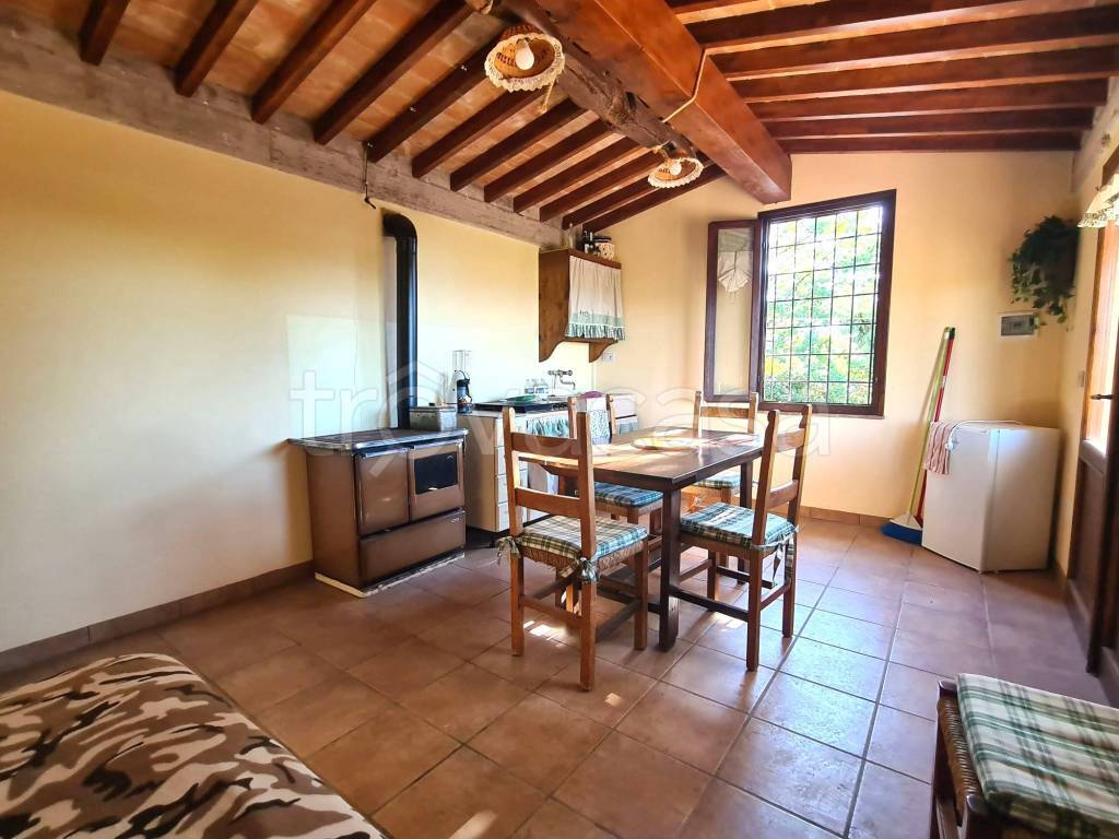 immagine annuncio 4 di 11