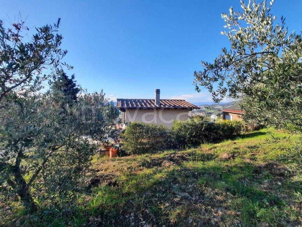 immagine annuncio 9 di 11