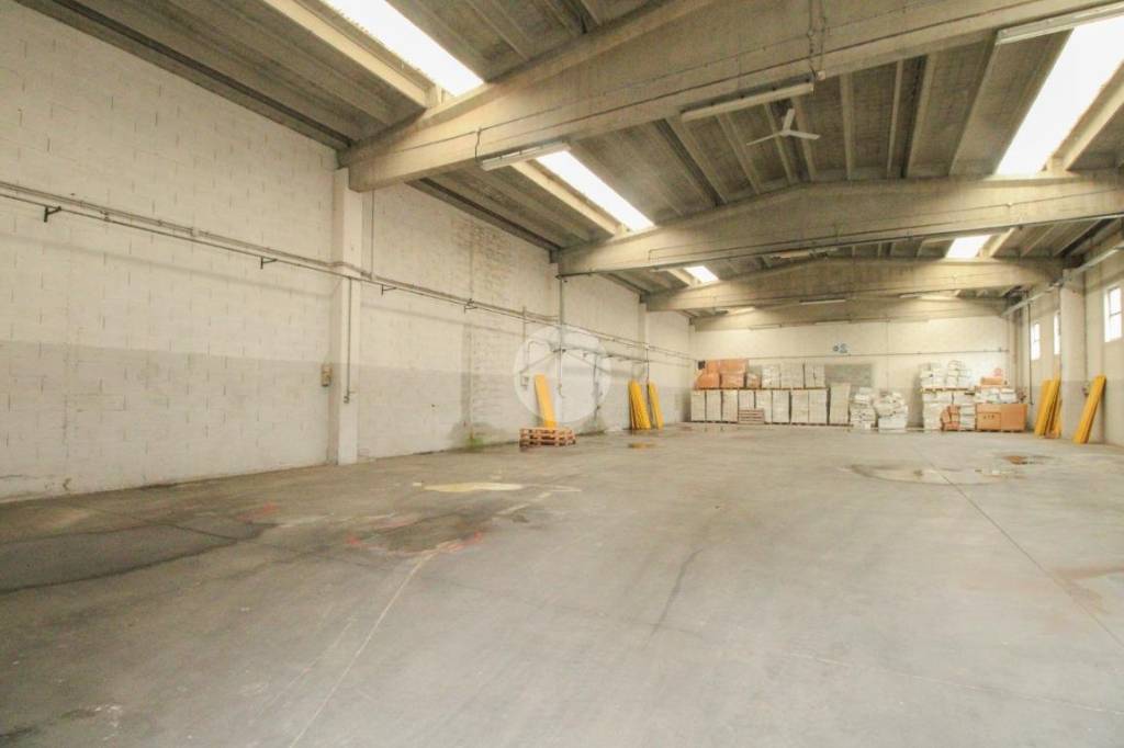 immagine annuncio 6 di 13