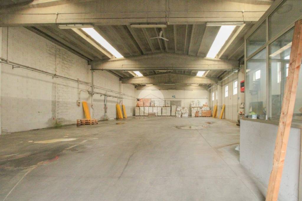 immagine annuncio 9 di 13