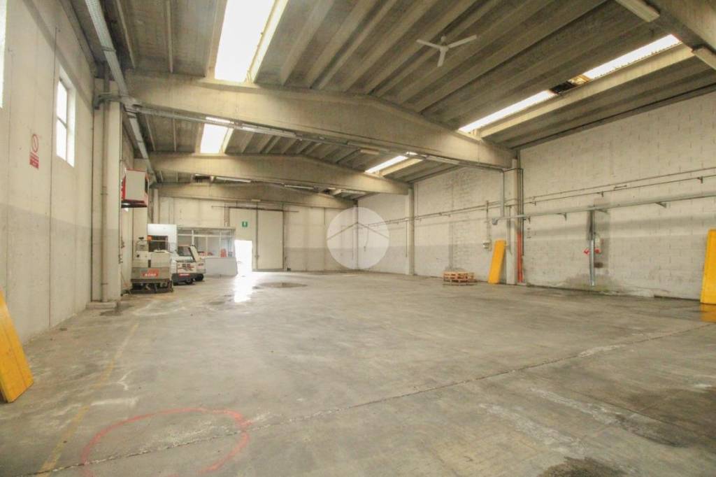 immagine annuncio 10 di 13