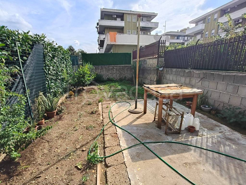 immagine annuncio 10 di 11