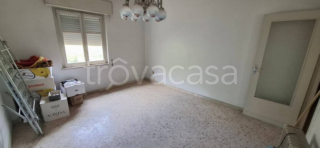 immagine annuncio 4 di 8