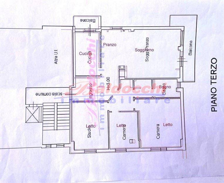 immagine annuncio 3 di 12