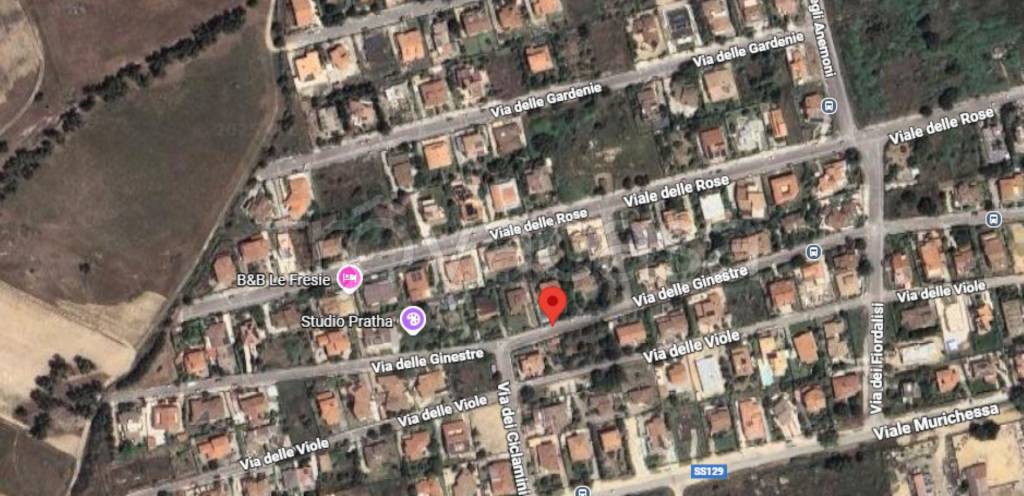 immagine annuncio 13 di 15