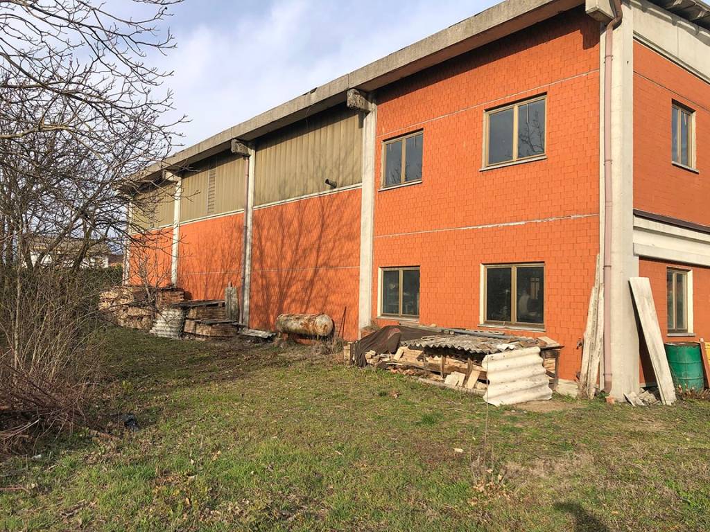 immagine annuncio 1 di 15