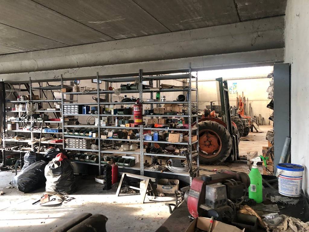 immagine annuncio 12 di 15