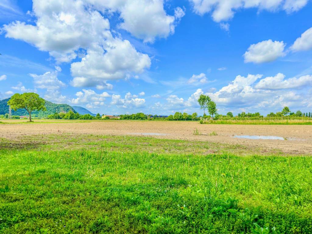 immagine annuncio 1 di 7