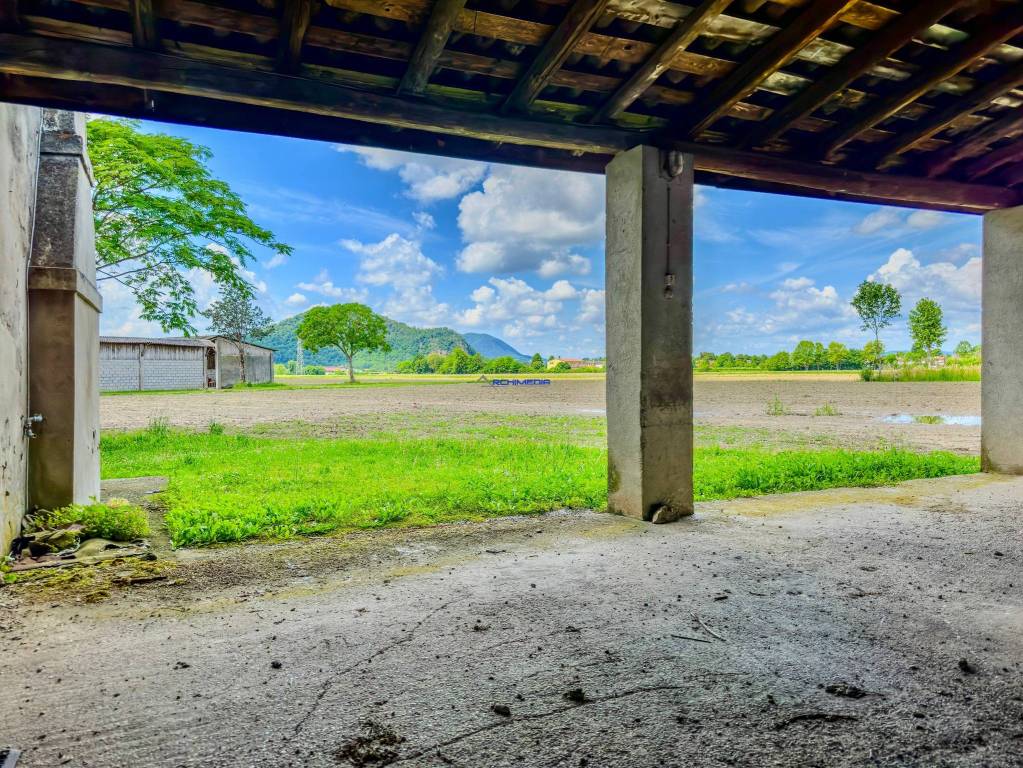 immagine annuncio 3 di 7