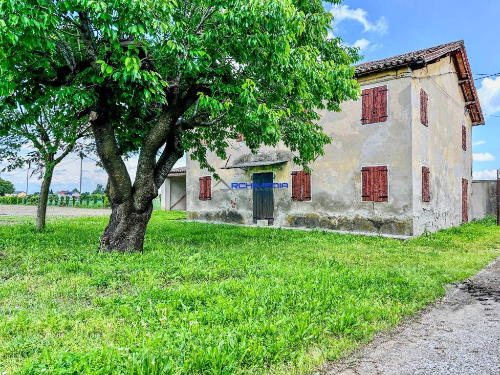 immagine annuncio 4 di 7