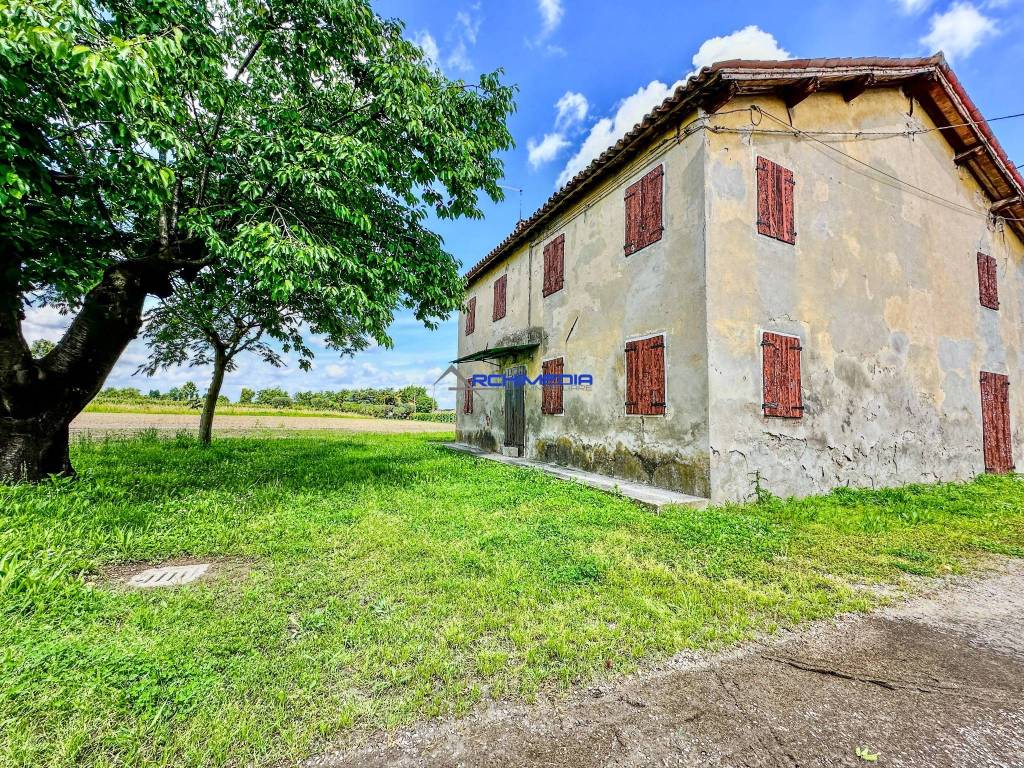 immagine annuncio 5 di 7