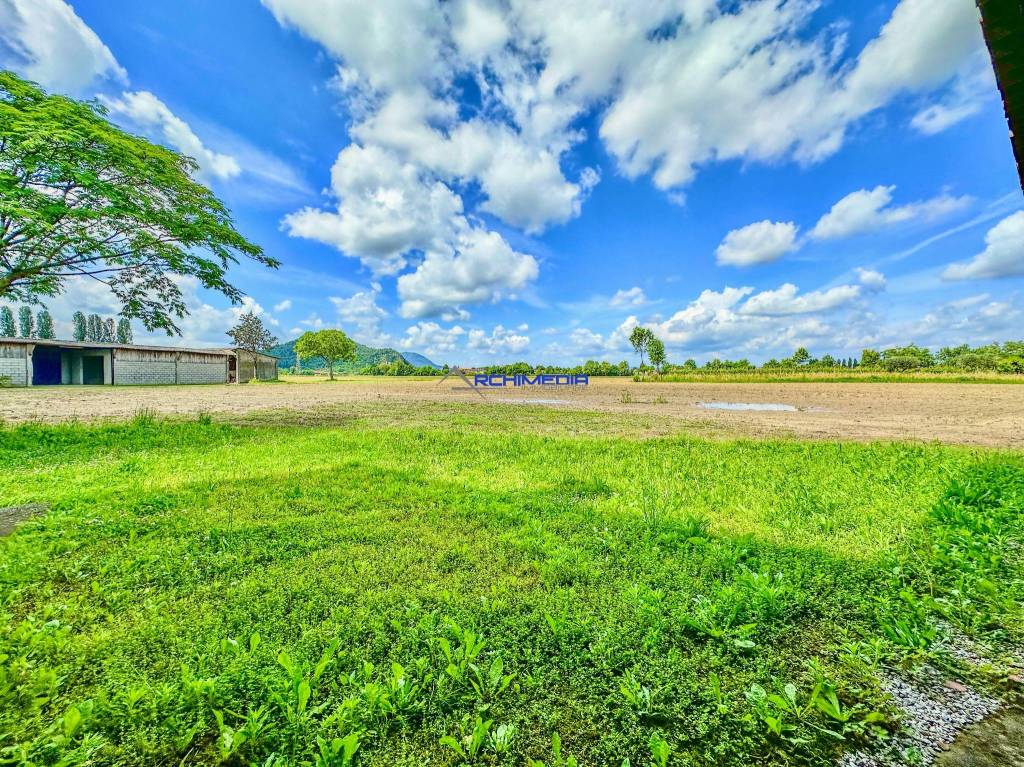 immagine annuncio 6 di 7