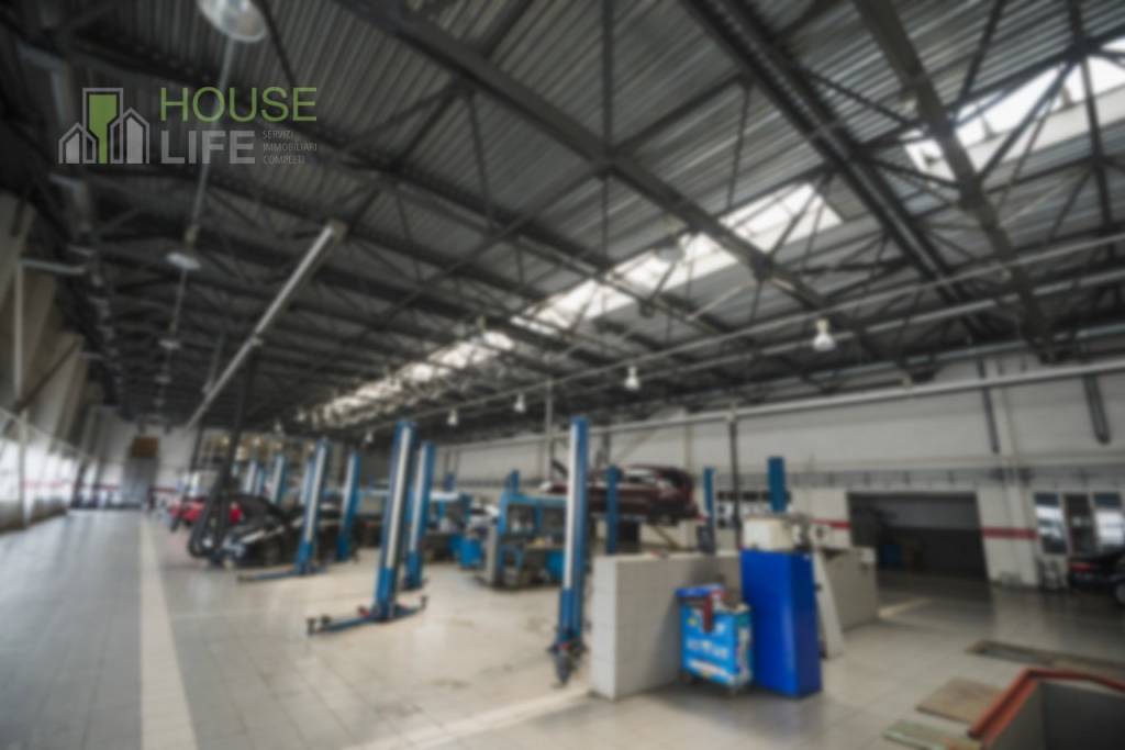 immagine annuncio 8 di 15