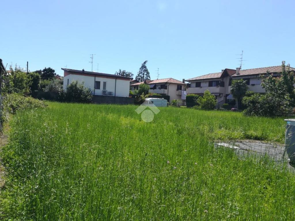 immagine annuncio 2 di 6