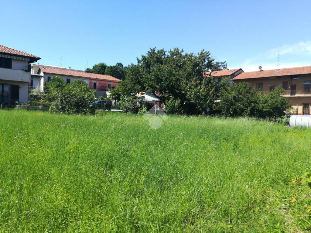 immagine annuncio 3 di 6