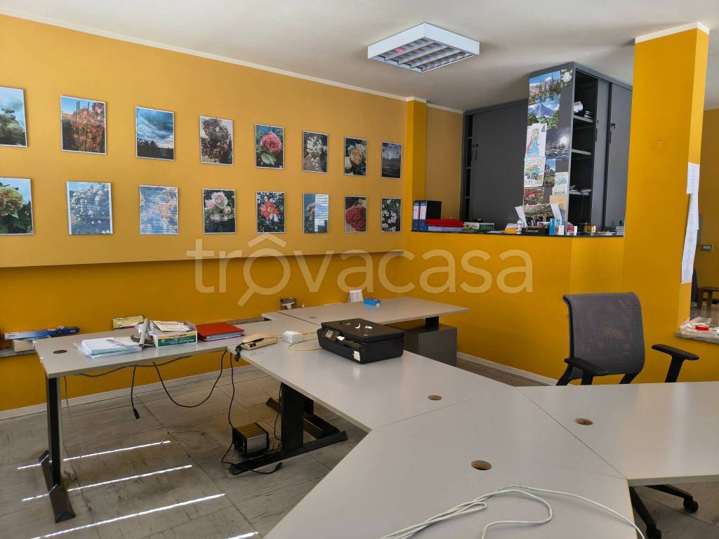 immagine annuncio 5 di 13