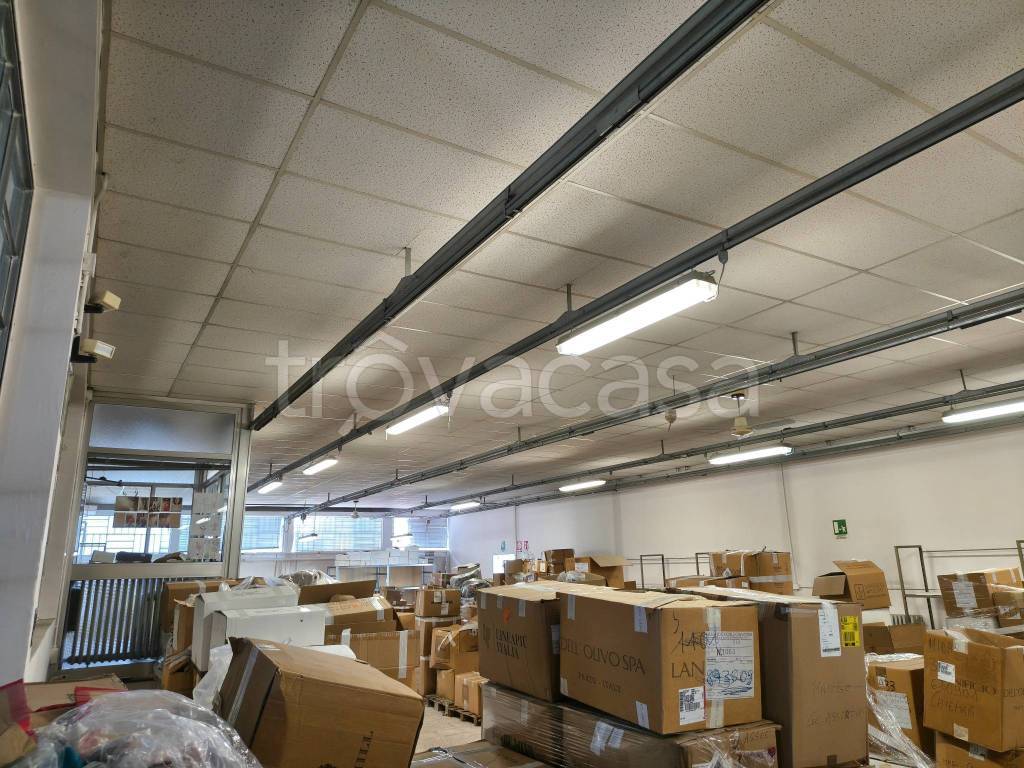 immagine annuncio 2 di 13