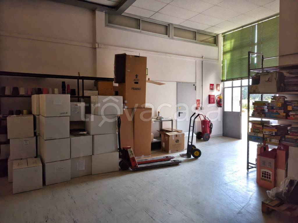 immagine annuncio 6 di 13