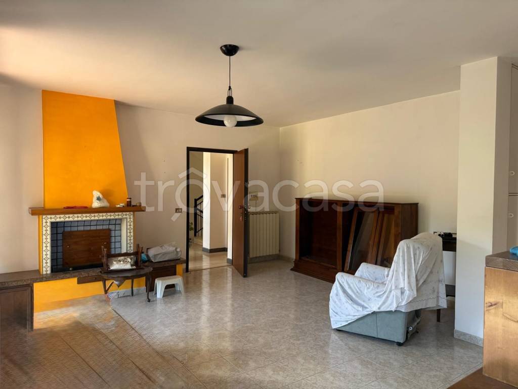 immagine annuncio 3 di 14