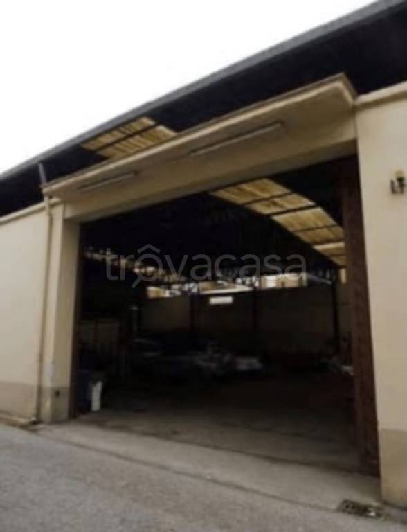 immagine annuncio 6 di 11