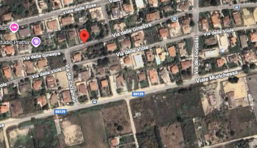 immagine annuncio 9 di 11