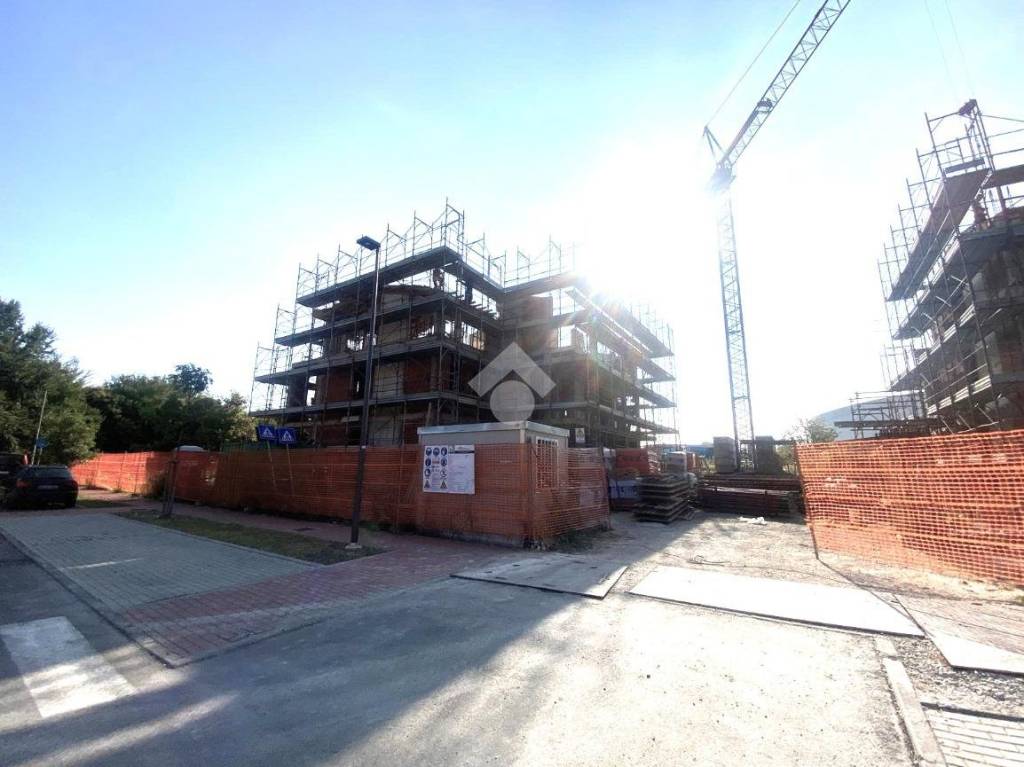 immagine annuncio 12 di 14