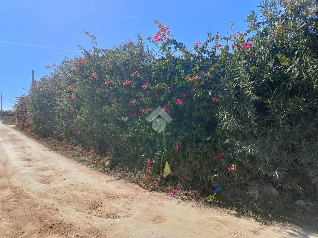 immagine annuncio 6 di 13