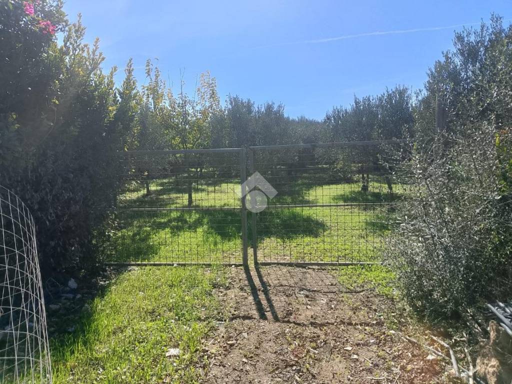 immagine annuncio 10 di 13