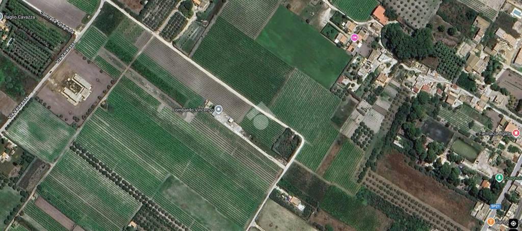 immagine annuncio 12 di 13