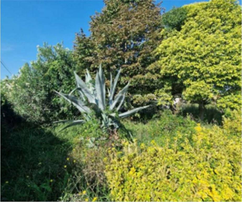 immagine annuncio 2 di 9