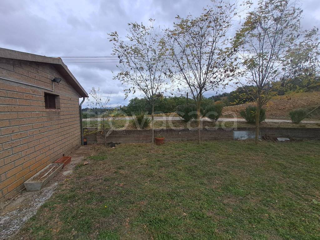 immagine annuncio 2 di 9