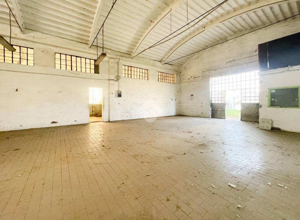 immagine annuncio 10 di 15