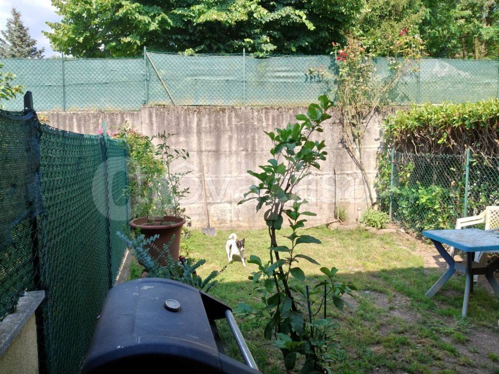 immagine annuncio 8 di 15