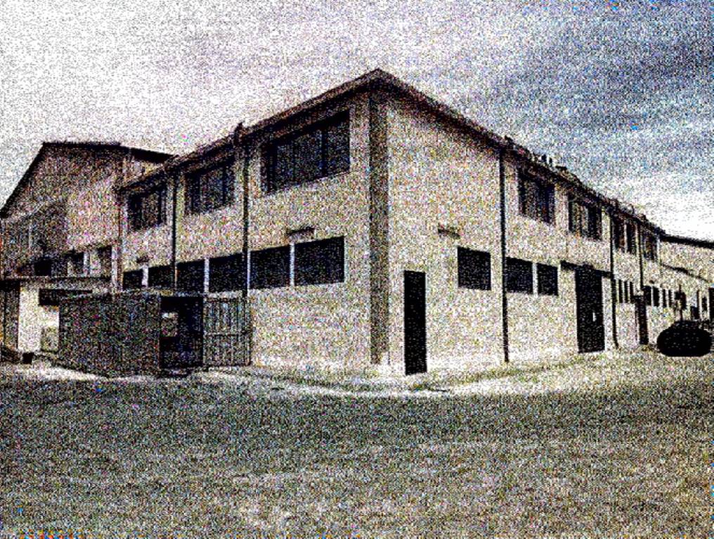 immagine annuncio 1 di 14