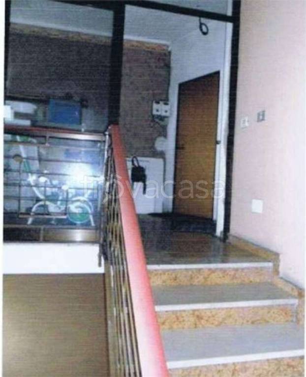 immagine annuncio 6 di 14