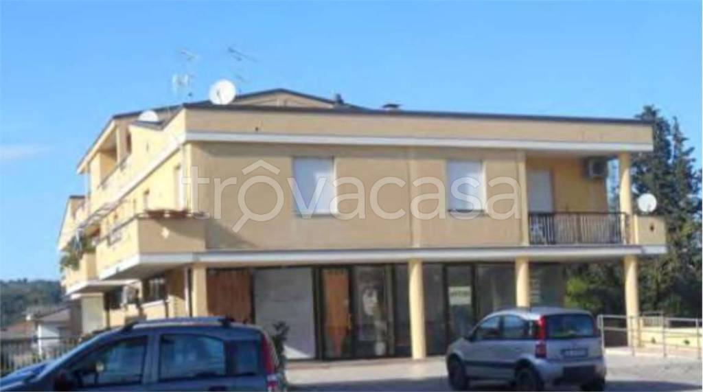 immagine annuncio 13 di 14