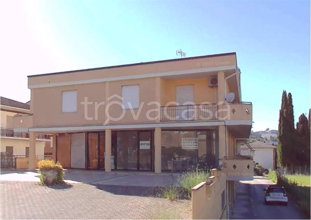 immagine annuncio 8 di 14