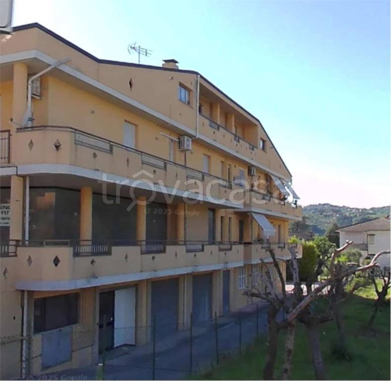 immagine annuncio 9 di 14