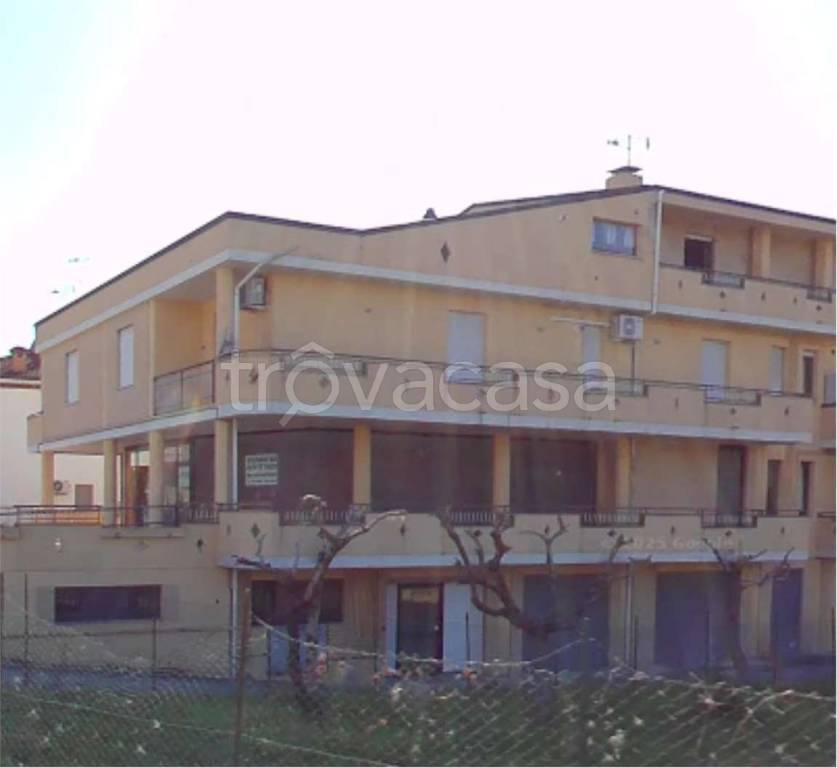 immagine annuncio 10 di 14