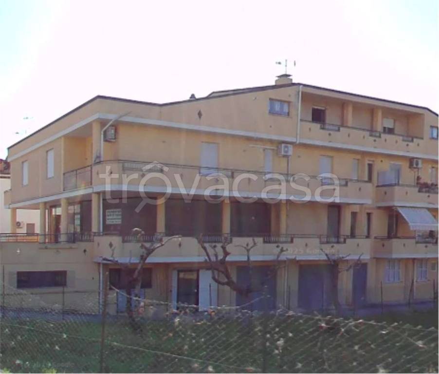 immagine annuncio 11 di 14