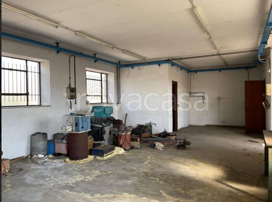 immagine annuncio 4 di 13