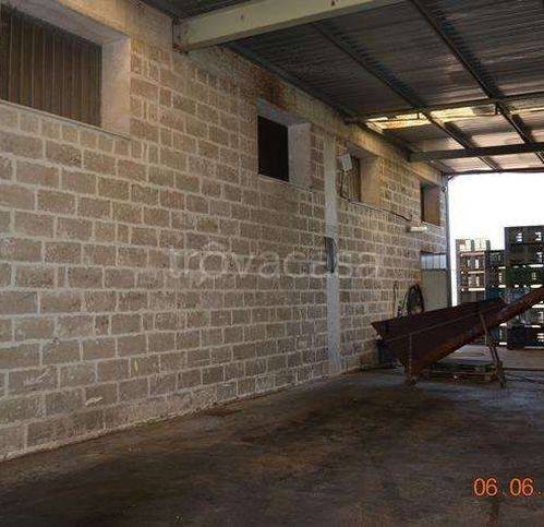 immagine annuncio 1 di 2