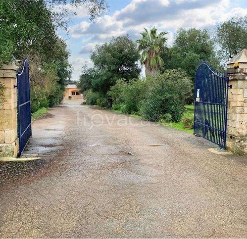 immagine annuncio 3 di 11