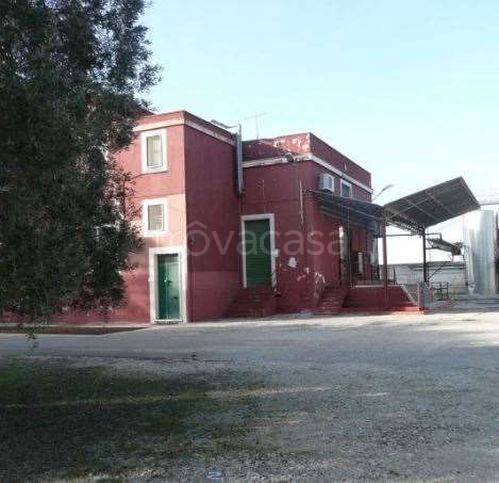 immagine annuncio 1 di 3