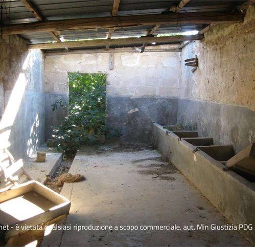 immagine annuncio 4 di 6