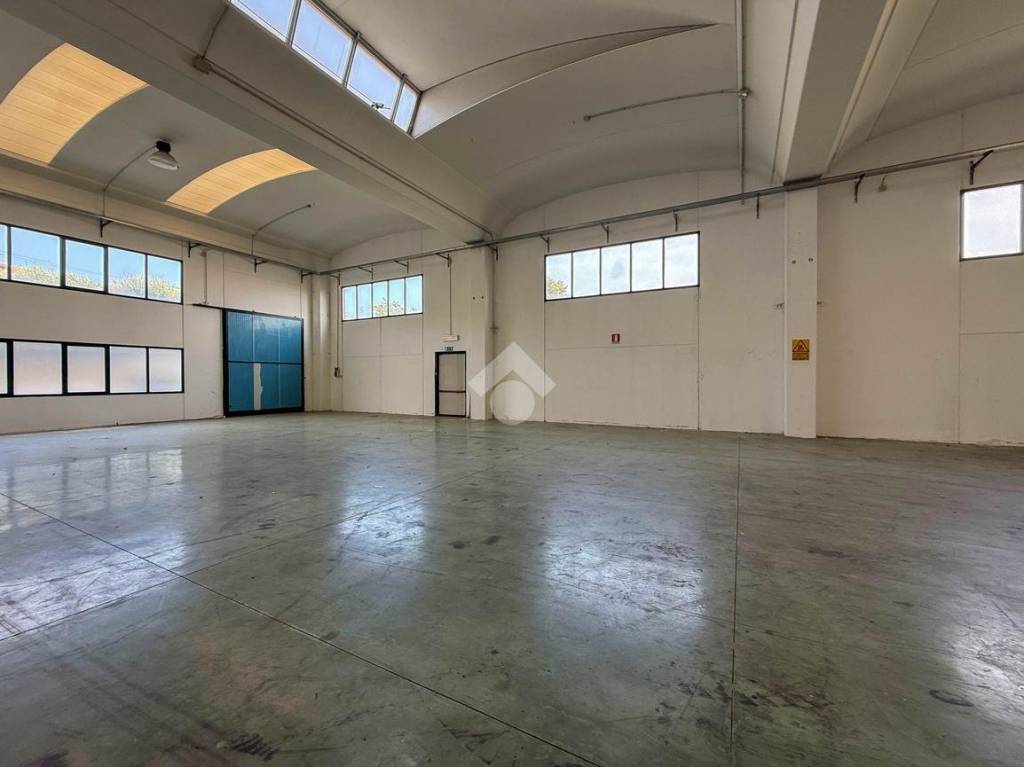 immagine annuncio 1 di 12