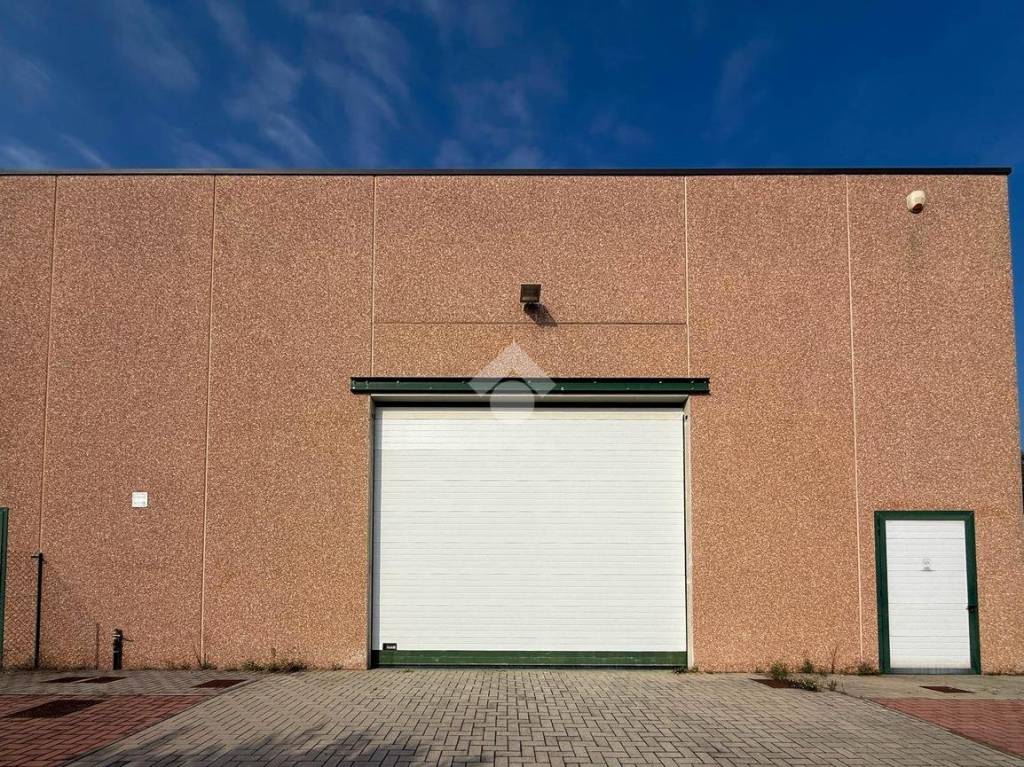 immagine annuncio 11 di 12