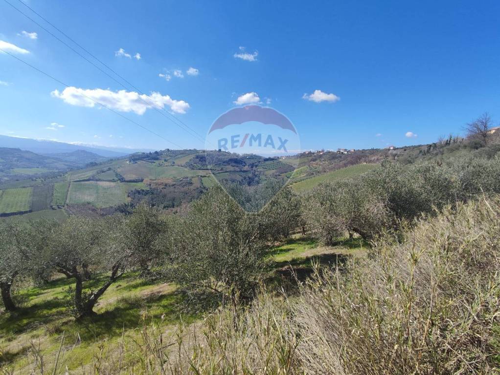 immagine annuncio 6 di 8