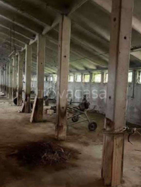 immagine annuncio 6 di 13