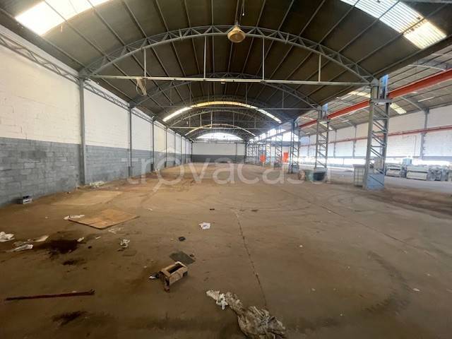 immagine annuncio 5 di 12